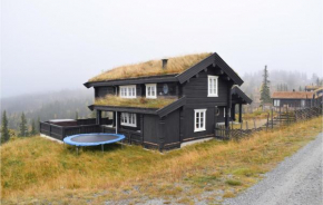 Stunning home in Aurdal with Jacuzzi, Sauna and 4 Bedrooms Aurdal